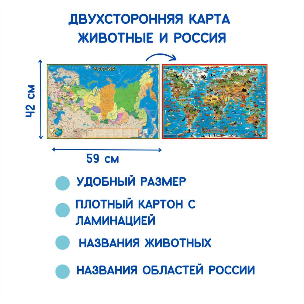 Двусторонняя карта. Животные и РФ детская - Купить оптом в компании Бумбарам